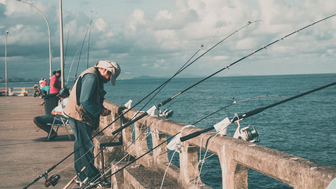 How to Pack a Travel Fishing Rod Case Without Breaking Your Tips