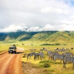 Best Time to Travel to Tanzania: Timing Your Perfect Safari Vacation