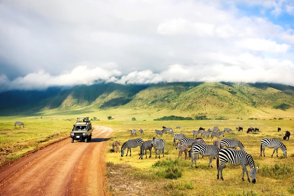 Best Time to Travel to Tanzania: Timing Your Perfect Safari Vacation