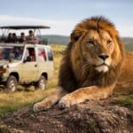 Best Travel Insurance for Safari: Peace of Mind in the Wild