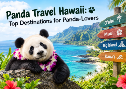 Panda Travel Hawaii: Top Destinations for Panda-Lovers