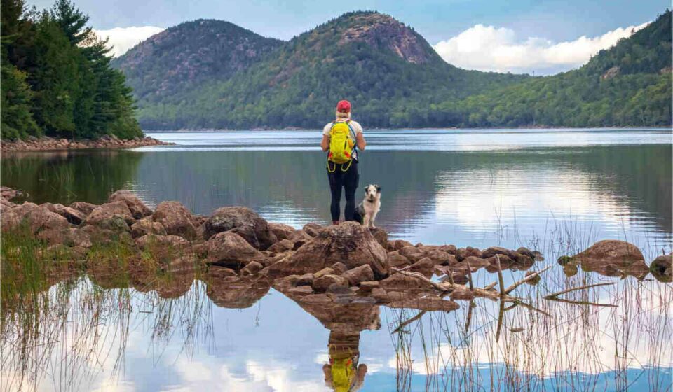 Outdoor Adventures in Messonde: Nature Trails and Scenic Spots