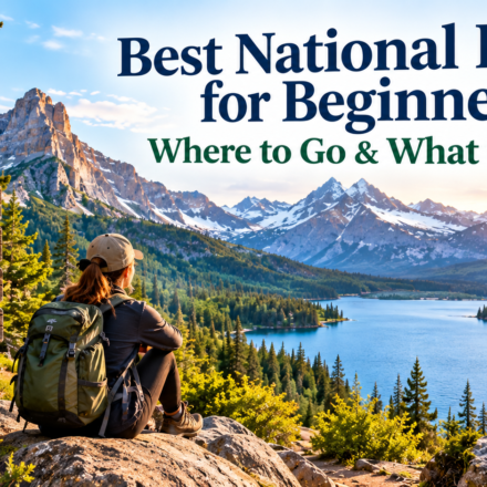 Best National Parks for Beginners: Where to Go & What to Know