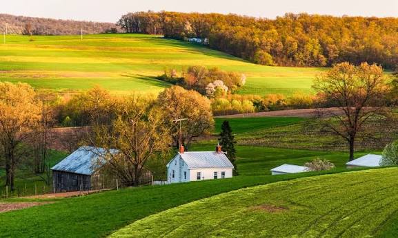 Airbnb in Pennsylvania: Best Places to Stay for Every Type of Traveler